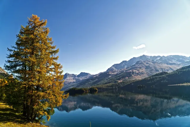 Schweizer Berglandschaft, ein attraktives Ziel für Gesundheitsexperten, die in der Schweiz arbeiten möchten.